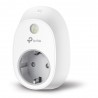 TP-LINK HS100P2 smart plug White 3680 W